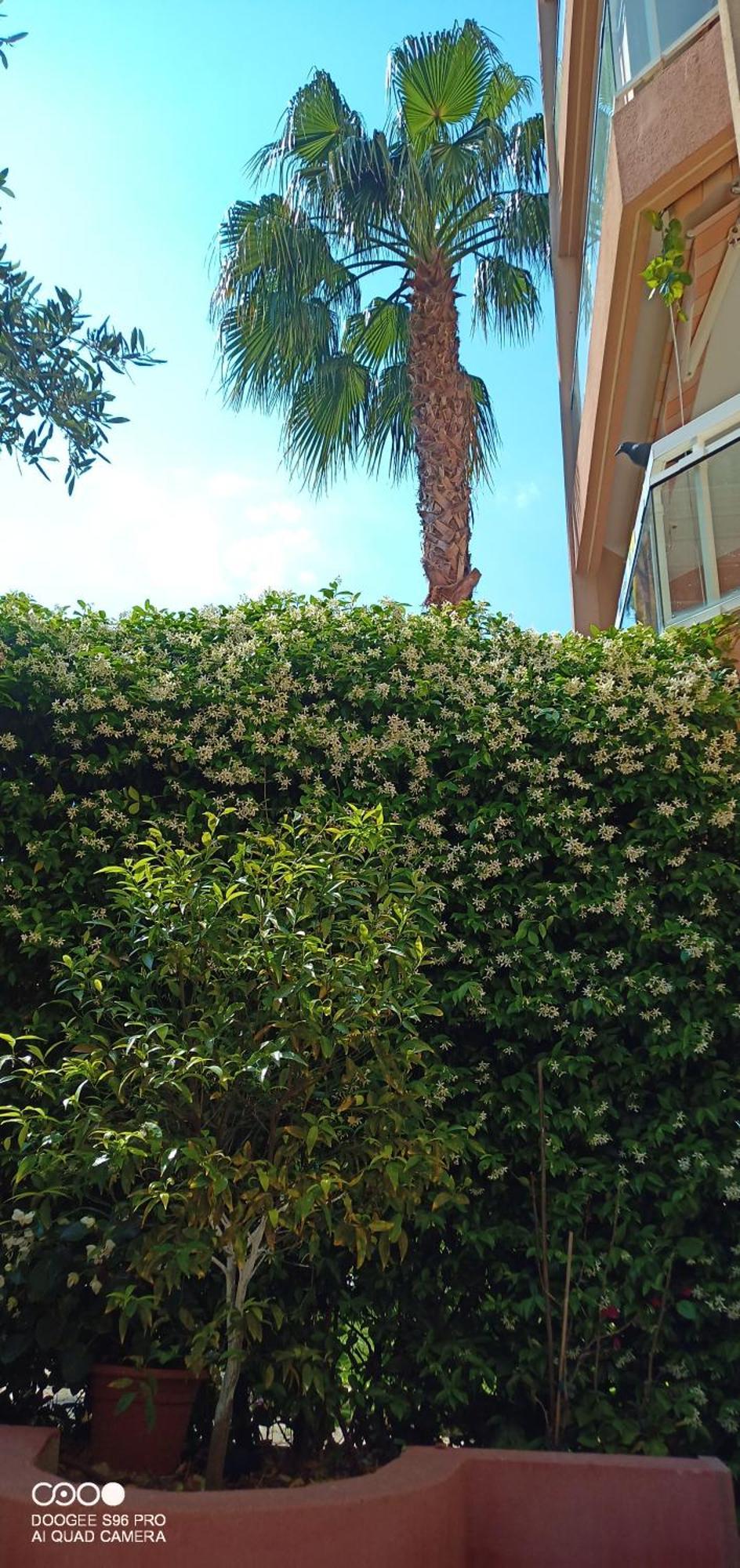 Appartement Avec Jardin Roquebrune-Cap-Martin Zimmer foto